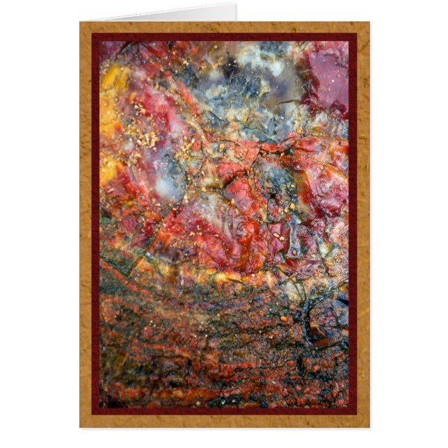 Bois petrified coloré (Devant)