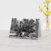 Bois rouges géant - Carte de voeux intérieure vier (Fleur jaune)