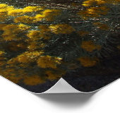 Boise Foothills Poster (Hoek)