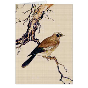 Boiseries japonaises d'un Finch, Brown et beige
