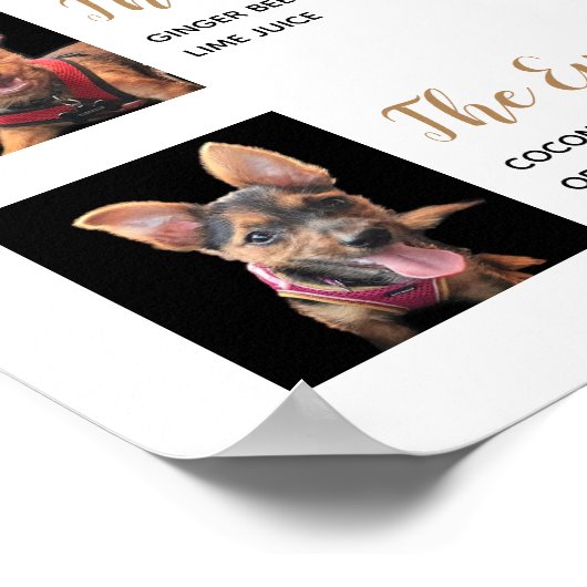 Boissons Signature Animaux Menu Affiche Cocktail d (Coin)