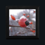 Boîte À Souvenirs Berries d'hiver<br><div class="desc">berry winter season christmas snow frost frost enee bush outside</div>