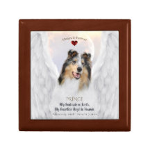 Blue Merle Collie Angel Portrait - Gardien pour an