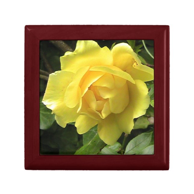 Boîte À Souvenirs Boîte-cadeau en bois de rose jaune (Devant)