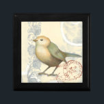 Boîte À Souvenirs Bruant jaune et vert sur Arrière - plan Vintage<br><div class="desc">Cette image inspirée du croquis est parfaite pour votre collection d'oiseaux. Il est simple et beau à ajouter sur n'importe quel produit et plaira à tout amateur d'art vintage. Choisissez cette illustration dès aujourd'hui.</div>