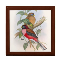 Charming Vintages Oiseaux Boîtes en bois