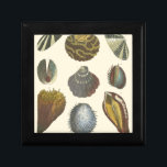 Boîte À Souvenirs Collection Conchology<br><div class="desc">Si vous ne pouvez pas vous rendre à la plage aujourd'hui, obtenez cette image de style classique de cette image unique de la vie marine par Albertus Seba! Imaginez-vous sur une plage à la découverte d'anémones marins que la nature a à offrir. Ces coquillages et plantes de mer au bord...</div>