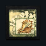 Boîte À Souvenirs Coque conique Silhouette<br><div class="desc">Restez détendu avec cette pièce d'art contemporain de Jennifer Goldberger. Sa collection d'art de coquillages est relaxante et inspirante. Cette oeuvre d'art se concentre sur un grand coquillage de Conch entouré de récif corallien vert. Obtenez ce magnifique art océanique aujourd'hui avec une sensation de silhouette sur votre prochain produit.</div>
