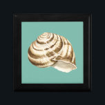Boîte À Souvenirs Coquille striée Sepia sur Turquoise<br><div class="desc">Megan Meagher est connue pour ses oeuvres d'art simples. Il s'agit d'une grande image d'art décoratif qui capte la vie marine avec une coquille sépia conque rayée. Obtenez cette impression fine d'art aujourd'hui sur couleur turquoise sur votre produit Zazzle.</div>