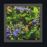 Boîte À Souvenirs De Première Qualité Fleur violette et abeille boursouflante<br><div class="desc">Fleur de baume d'abeille mauve,  fleurs et bourdons jaunes et noirs Photo de Sandy Closs prise au lac Arrowhead violet,  "baume d'abeille",  fleur,  fleurs,  fleurs,  fleurs,  printemps,  cerise,  cerises,  jardin,  mariage,  mariages, </div>