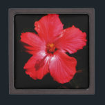 Boîte À Souvenirs De Première Qualité Hibiscus rouge<br><div class="desc">Hibiscus rouge L'Hibiscus à fleurs est un plante à fleurs de la famille des Malvaceae. Il est assez grand, contenant plusieurs centaines d'espèces indigènes aux régions tempérées chaudes, subtropicales et tropicales à travers le monde. Envoyez un message à sandycloss@gmail.com ou sandycloss.smugmug.com si vous souhaitez voir l'une de ces conceptions sur...</div>