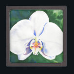 Boîte À Souvenirs De Première Qualité Orchidée blanche<br><div class="desc">original romantic white orchid watercolor painting by H Cooper</div>