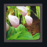 Boîte À Souvenirs De Première Qualité Pink Lady Slipper sauvage orchidée<br><div class="desc">Pink Lady Slipper sauvage orchidée Photo de Sandy Closs,  prise au lac Arrowhead Ga. Forme de glisse rose pâle avec veines roses foncées. Trouvé sauvage dans les bois,  sous quelques pins fleurs roses orchidées fleurs florales florales mariage nature sympathie printemps rose</div>