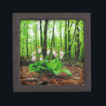 Boîte À Souvenirs De Première Qualité Pink Lady Slipper sauvage orchidée<br><div class="desc">Pink Lady Slipper sauvage orchidée Photo de Sandy Closs,  prise au lac Arrowhead Ga. Forme de glisse rose pâle avec veines roses foncées. Trouvé sauvage dans les bois,  sous quelques pins fleurs roses orchidées fleurs florales florales mariage nature sympathie printemps rose</div>