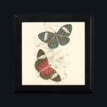 Boîte À Souvenirs Feuilles de Sepia avec papillons colorés<br><div class="desc">Les ailes de ces papillons colorés se démarquent merveilleusement par rapport aux tons sépia des feuilles dessinés à la main dans cette pièce. La beauté captivante de cette impression serait extraordinaire dans votre maison. Achète-en un exemplaire aujourd'hui !</div>