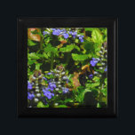 Boîte À Souvenirs Fleur violette et abeille boursouflante<br><div class="desc">Fleur de baume d'abeille mauve,  fleurs et bourdons jaunes et noirs Photo de Sandy Closs prise au lac Arrowhead violet,  "baume d'abeille",  fleur,  fleurs,  fleurs,  fleurs,  printemps,  cerise,  cerises,  jardin,  mariage,  mariages, </div>