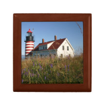 Fleurs sauvages d'automne à West Quoddy