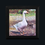 BOÎTE À SOUVENIRS GEESE<br><div class="desc">Un design artistique d'une oie domestique.</div>