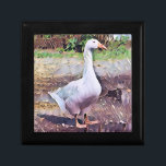 BOÎTE À SOUVENIRS GEESE<br><div class="desc">Un design artistique d'une oie domestique.</div>