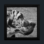 BOÎTE À SOUVENIRS GRAND DANE<br><div class="desc">Un beau design noir et blanc d'un chien de Grande Danse. Angleterre Royaume-Uni.</div>