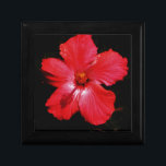 Boîte À Souvenirs Hibiscus rouge<br><div class="desc">Hibiscus rouge L'Hibiscus à fleurs est un plante à fleurs de la famille des Malvaceae. Il est assez grand, contenant plusieurs centaines d'espèces indigènes aux régions tempérées chaudes, subtropicales et tropicales à travers le monde. Envoyez un message à sandycloss@gmail.com ou sandycloss.smugmug.com si vous souhaitez voir l'une de ces conceptions sur...</div>