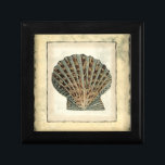 Boîte À Souvenirs Les Créatures marines au bord de l'eau<br><div class="desc">Vivez-vous loin de la plage ? Pas de problème ! Profitez de ce panneau d'art nautique de coquillages pour vous projeter sur une plage paisible par beau temps. Obtenez ce panneau de coquillage encadré sur votre prochain produit Zazzle.</div>