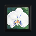 Boîte À Souvenirs Orchidée blanche<br><div class="desc">original romantic white orchid watercolor painting by H Cooper</div>