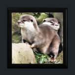 BOÎTE À SOUVENIRS OTTERS<br><div class="desc">Une aquarelle design d'une paire de petites loutres très mignonnes.</div>