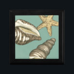 Boîte À Souvenirs Petit trio Shell Turquoise<br><div class="desc">Megan Meagher est connue pour ses oeuvres d'art simples. Cette image montre la simplicité des trésors de la mer, des coquillages de conques et des étoiles de mer. Meagher englobe un arrière - plan turquoise à son image pour contraster ces trésors. Obtenez cette impression fine d'art dès aujourd'hui sur votre...</div>