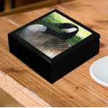 Boîte À Souvenirs Photo de la faune de Canada Goose<br><div class="desc">Pour les amoureux des animaux et de la nature ! Magasinez des bijoux,  des bijoux et d'autres petits commerces dans cette boîte cadeau en bois avec carreaux en céramique avec l'image d'une belle oie du Canada. Sélectionnez la taille et la couleur de votre boîte cadeau.</div>