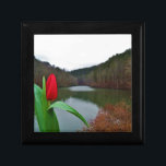 Boîte À Souvenirs Tulipe rouge printanière au lac Arrowhead<br><div class="desc">Photo d'une tulipe rouge vif près des rives du lac Arrowhead,  prise par Sandy Closs.</div>