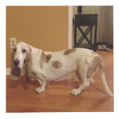 Boîte de cube en photo personnalisée par amusement (Devant)