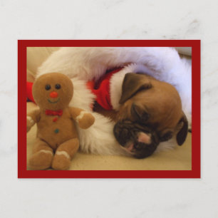 Boîte de Noël Sleepy Carte postale Puppy