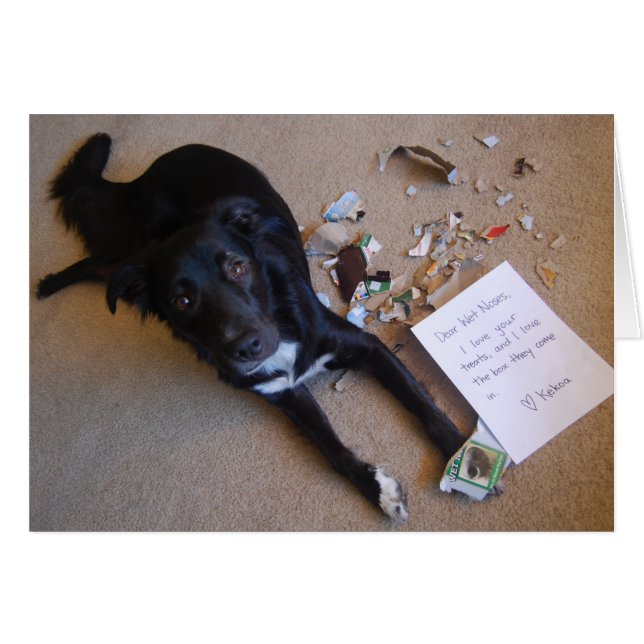 Boîte. Statut == Détruit. (Devant horizontal)