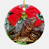 Boîte Tortue ornement de Noël (Dos)