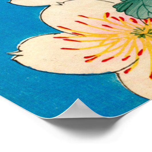 Boîtier de couleur Impression des fleurs de bois d (Coin)