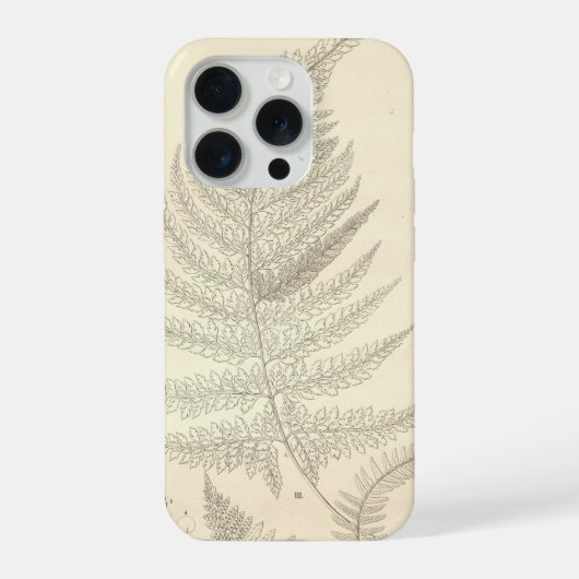 Boîtier pour iPhone 15 Pro à thème de fougère (Verso)
