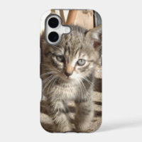 Boîtier pour iPhone 5 Tiny Kitten