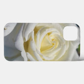 Boîtier téléphonique Coque Rose-Blanc (Verso (horizontal))