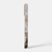 Boîtier téléphonique Vieux Porte et Murs (Côté gauche)