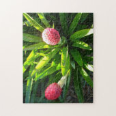 Bok Gardens Florida Roze Tropische Bromeliad Flowe Legpuzzel (Verticaal)