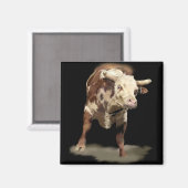 Bokkende stier magneet (Voorkant / Achterkant)