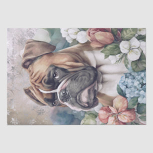 Bokser bloemenhond tissuepapier