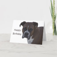 Bokser Happy Birthday Kaart