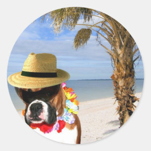 Bokser hond op het strand stickers