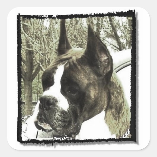 Bokser hond stickers (Voorkant)