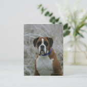 Bokser Hond Zittend in de Vorst Briefkaart (Staand voorkant)