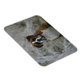 Bokser Hond Zittend in de Vorst Magneet (Rechterzijde)