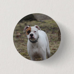 Bokser ronde button 3,2 cm