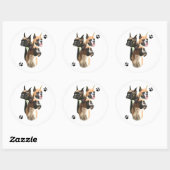 Bokser Trio - Sticker (Vel)